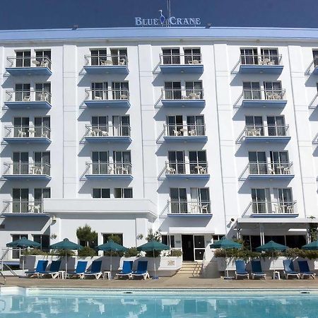 Blue Crane Hotel Apts Lemesos Exteriér fotografie